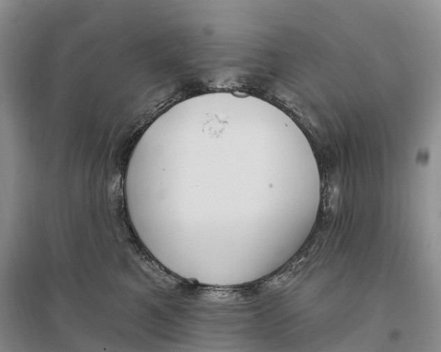 X0000096720521200802261657