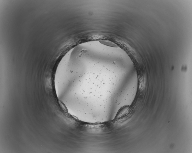 X0000096720524200802261657