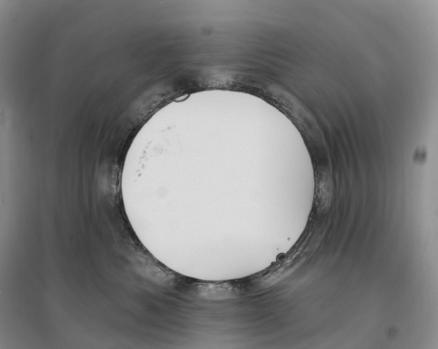 X0000096720525200802261657