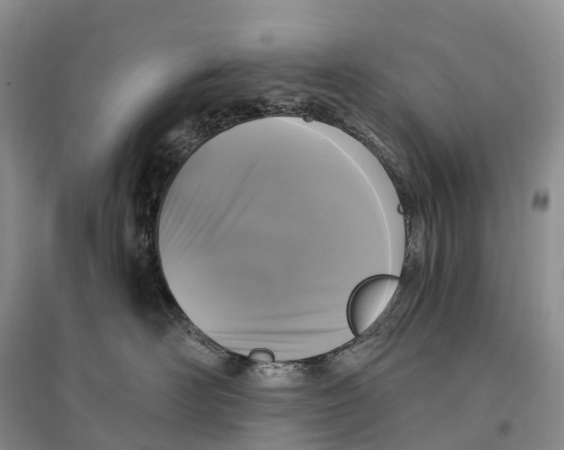 X0000096720526200802261657