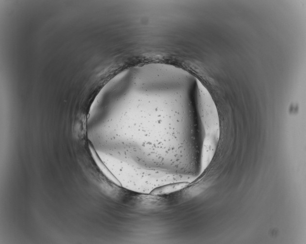 X0000096720528200802261657