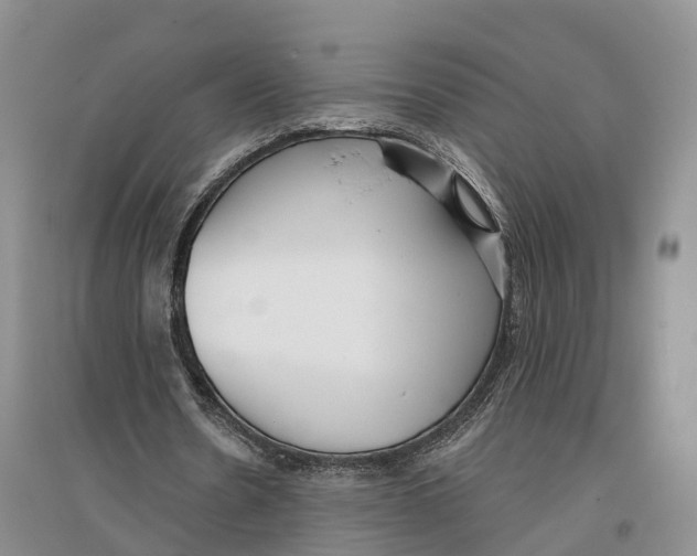 X0000096720530200802261656