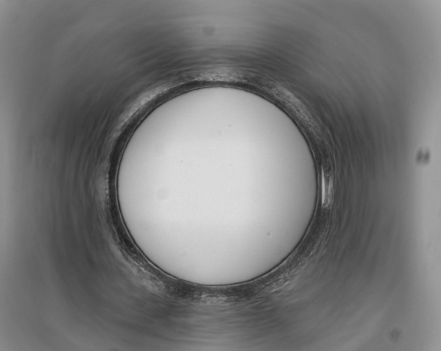 X0000096720531200802261656