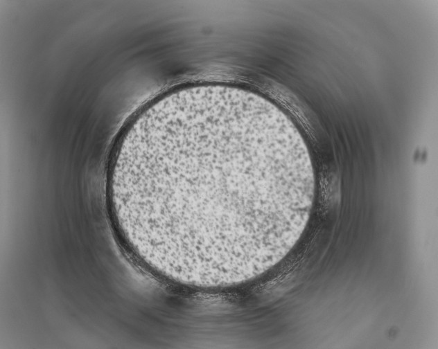 X0000096720534200802261656