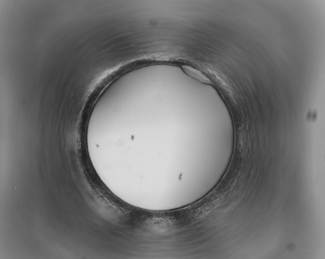 X0000096720536200802261656