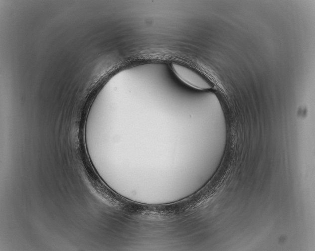 X0000096720538200802261656