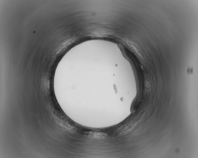 X0000096720539200802261656