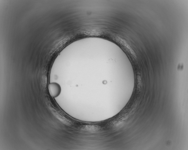 X0000096720541200802261656