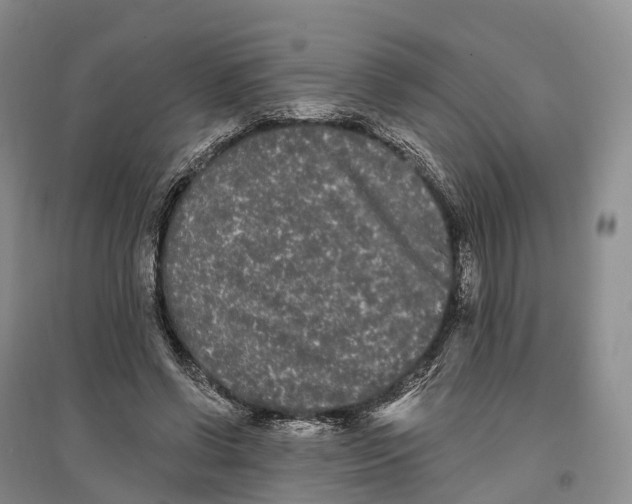 X0000096720542200802261656