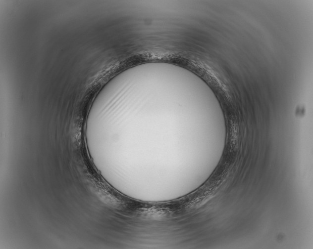 X0000096720545200802261656