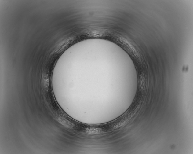 X0000096720549200802261656