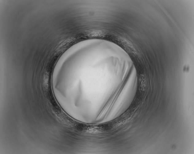 X0000096720550200802261656