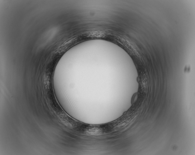 X0000096720551200802261656