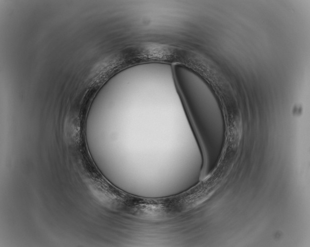 X0000096720552200802261656