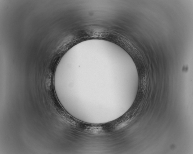 X0000096720554200802261656