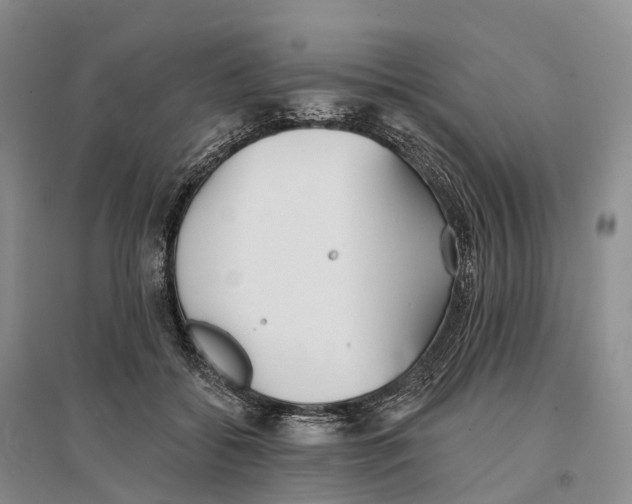 X0000096720556200802261657