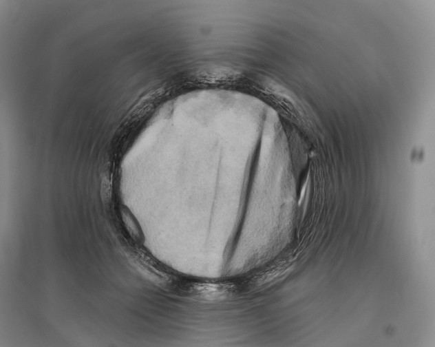 X0000096720558200802261657