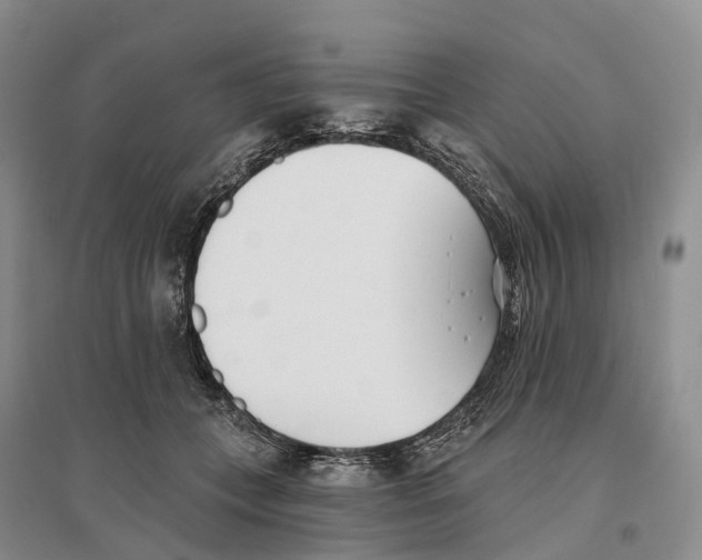 X0000096720559200802261657