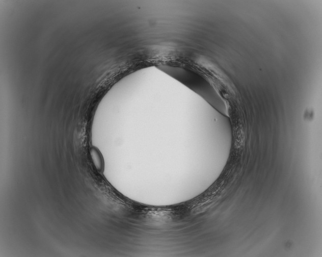 X0000096720560200802261657