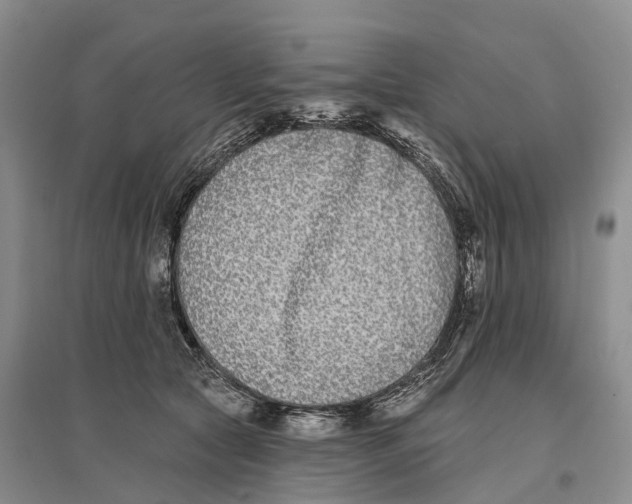 X0000096720561200802261657