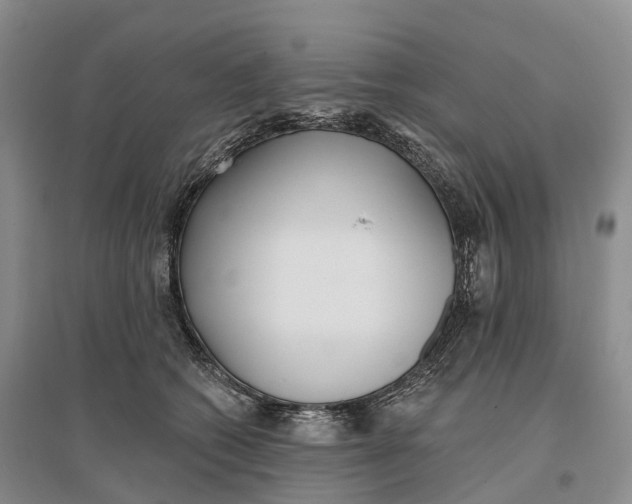 X0000096720562200802261657