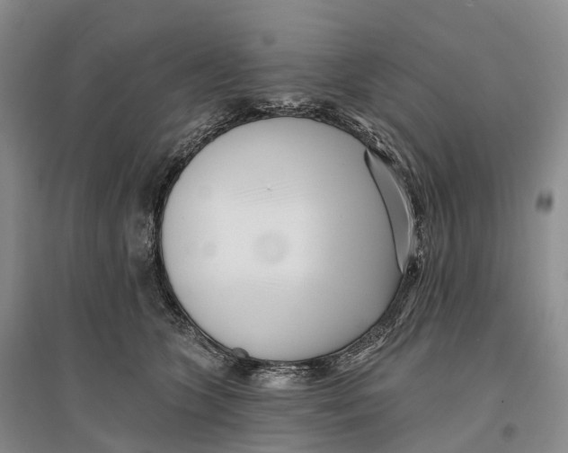 X0000096720563200802261657