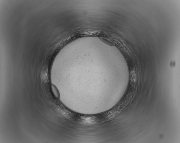 X0000096720564200802261657