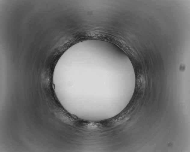 X0000096720566200802261657