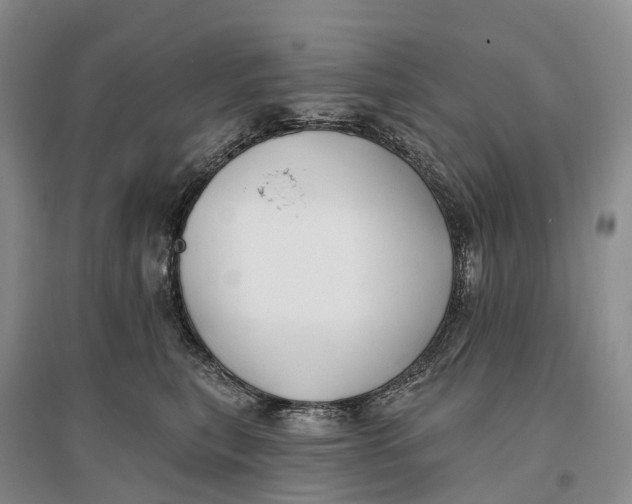 X0000096720567200802261657