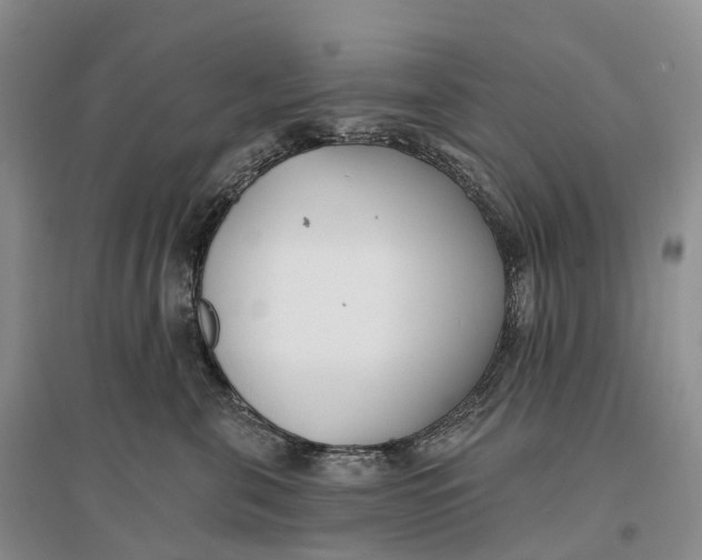 X0000096720571200802261657