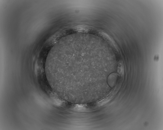 X0000096720573200802261657