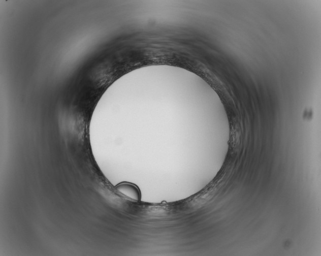 X0000096720574200802261657