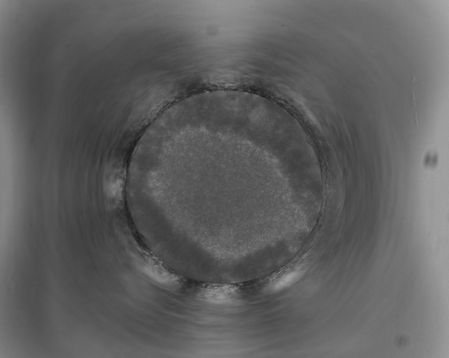 X0000096720576200802261657