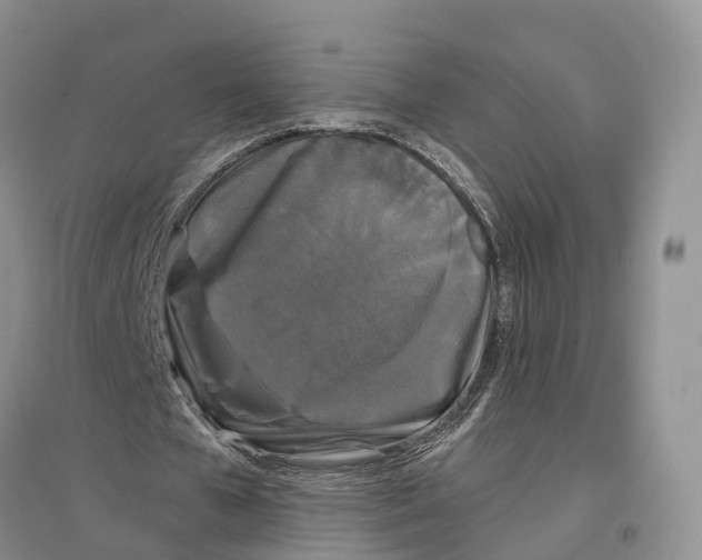 X0000096720577200802261656