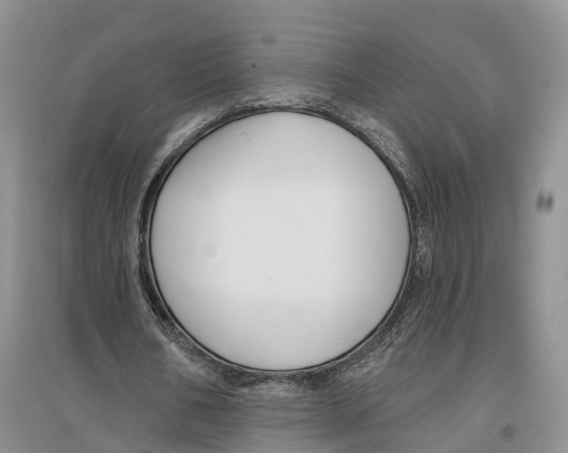 X0000096720578200802261656