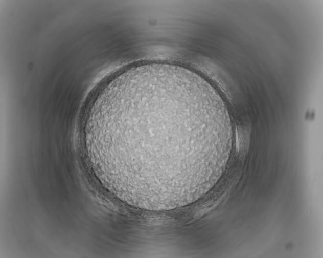 X0000096720579200802261656