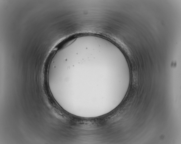 X0000096720580200802261656