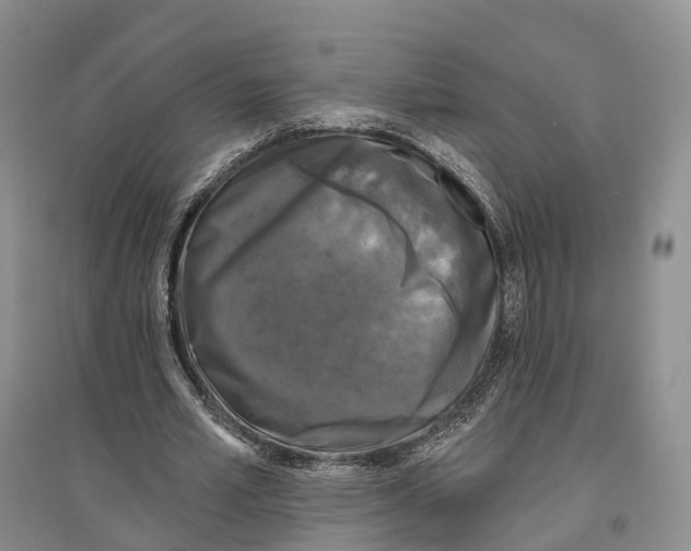 X0000096720581200802261656