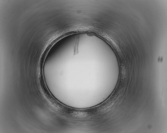 X0000096720582200802261656