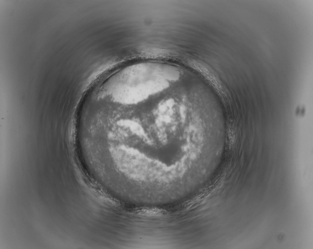 X0000096720583200802261656