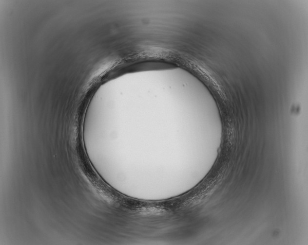 X0000096720586200802261656