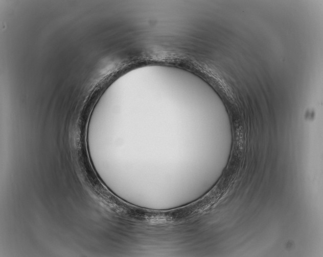 X0000096720587200802261656