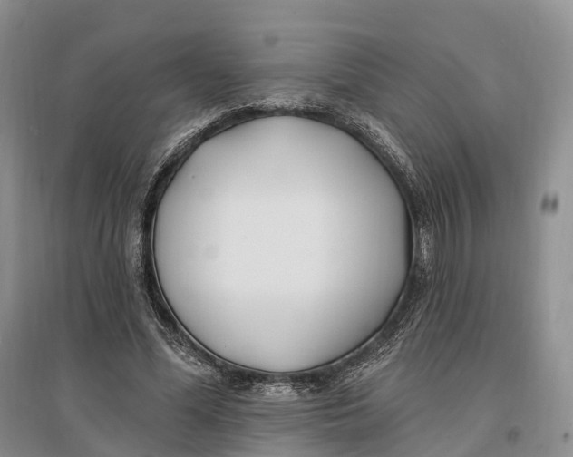 X0000096720588200802261656