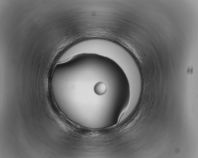 X0000096720589200802261656