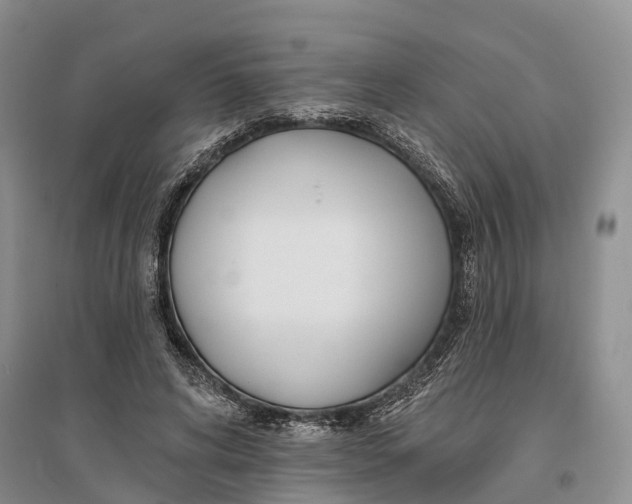 X0000096720592200802261656