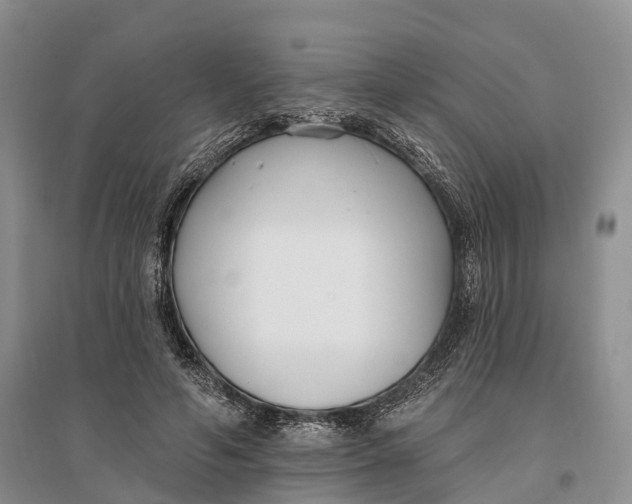 X0000096720594200802261656