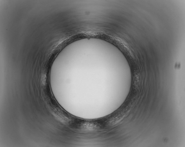 X0000096720596200802261656