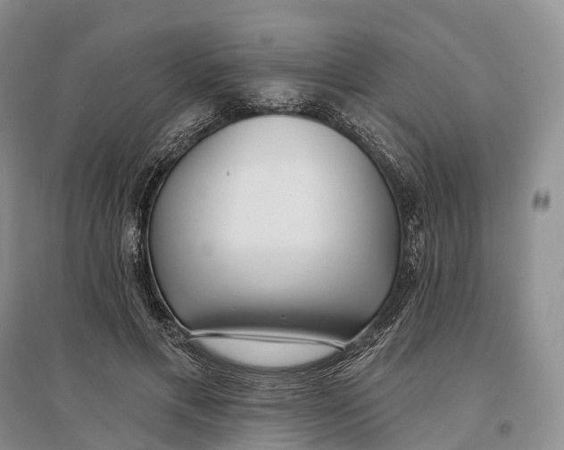 X0000096720597200802261656