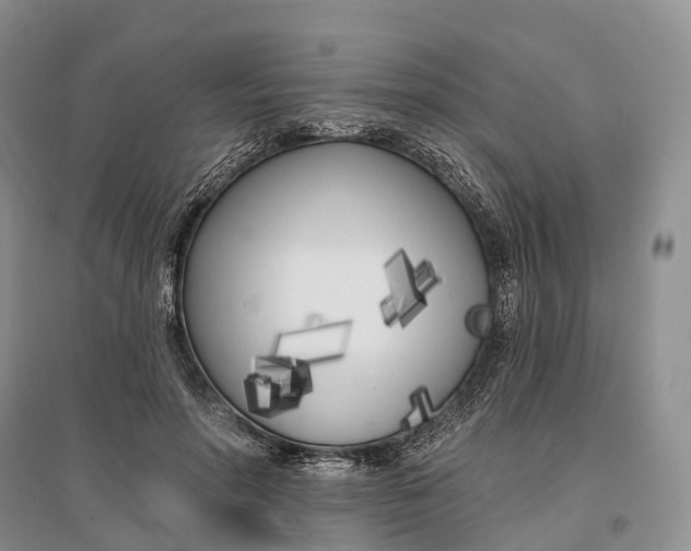 X0000096720598200802261656