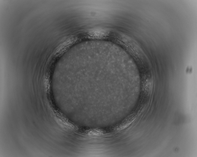 X0000096720599200802261656